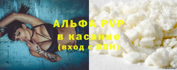СК Каменск-Шахтинский