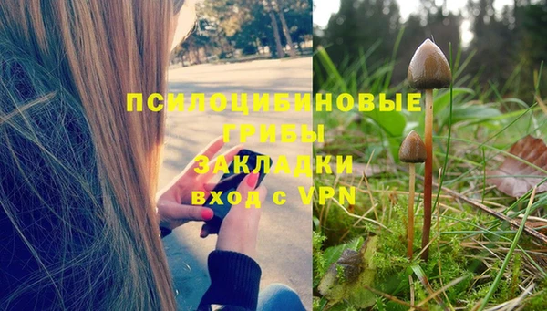 метадон Инсар