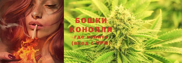 метадон Инсар
