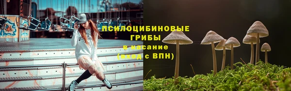 гидропоника Каменногорск