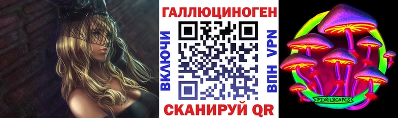 магазин продажи   Называевск  MEGA   Псилоцибиновые грибы прущие грибы 